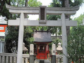 生田神社の杉の木